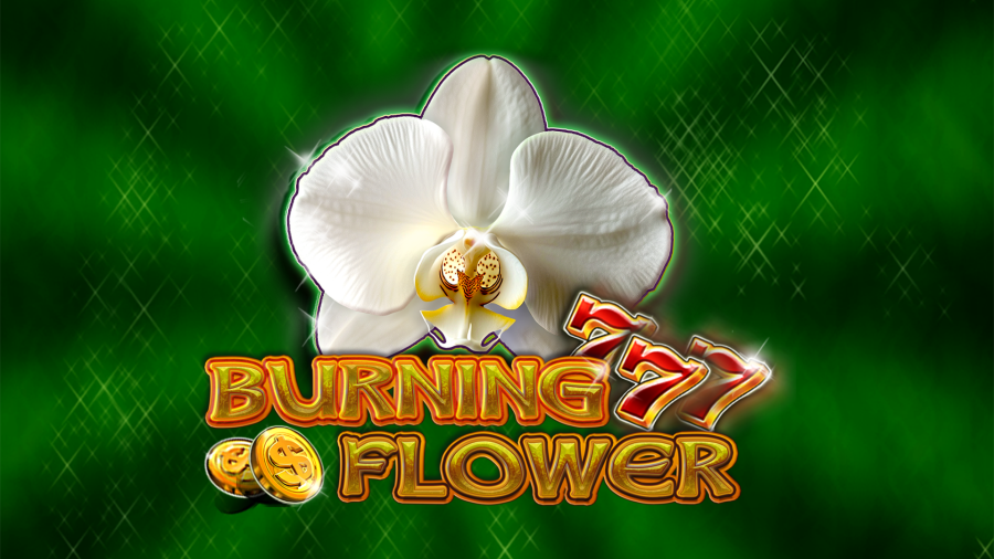 Burning Flower HD